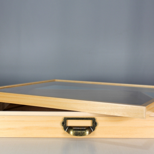 Cornell Basswood